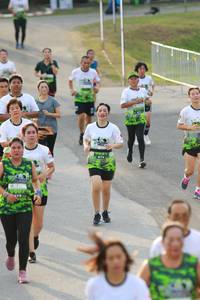 BIB: 
                            <button type="button" onclick="openModal(3540350)" class="btn btn-primary btn-sm float-right btn-popup" data-toggle="modal" data-target=".modal-high-quality">
                        <i class="fas fa-shopping-cart"></i> Add to Cart
                    </button>
                                            <button type="button" onclick="isThisMe(3540350, true)" class="btn btn-success btn-sm float-right btn-popup btn-isme hidden" data-toggle="tooltip" data-placement="bottom" title="นี่คือรูปของคุณใช่ไหม คลิกที่นี่เพื่อเอาเข้าอัลบั้ม">
                        <i class="fas fa-plus"></i> Add to album
                    </button>
                    <button type="button" onclick="isThisMe(3540350, false)" class="btn btn-warning btn-sm float-right btn-popup btn-isnotme hidden">
                        <i class="fas fa-ban"></i> Remove from album
                    </button>